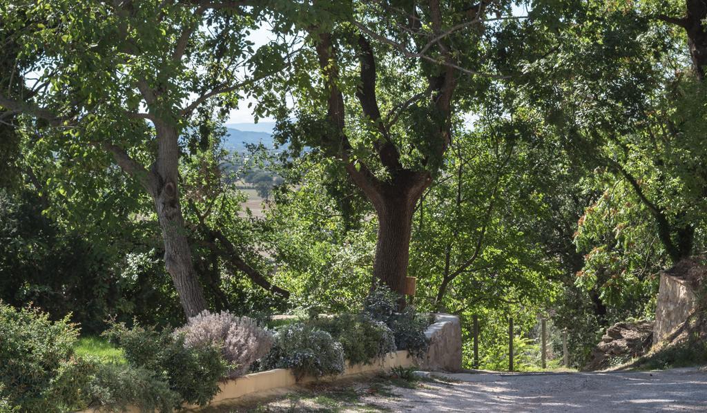 B&B Cantico Delle Creature Assisi Exterior photo